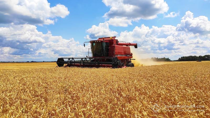 Збирання озимої пшениці